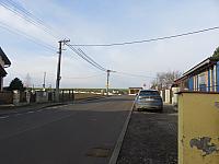 Třibřichy