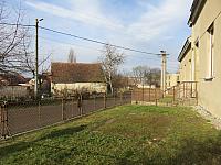 Třibřichy
