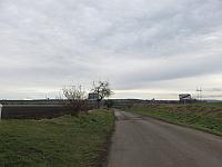 Třibřichy
