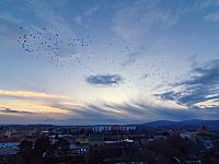 Chomutov