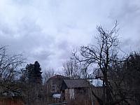Olešná