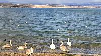 Most jezero 