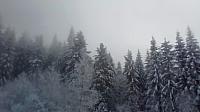 Oravská Lesná