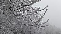 Třebíč-Borovina