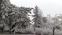 Třebíč-Borovina