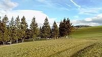 Nižná