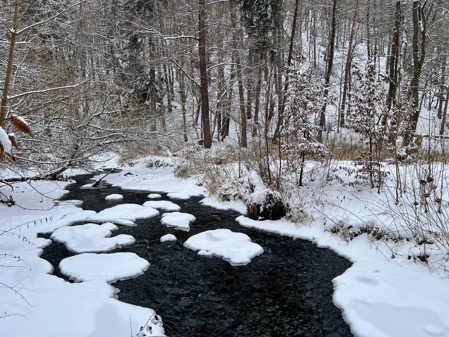 Nový Knín