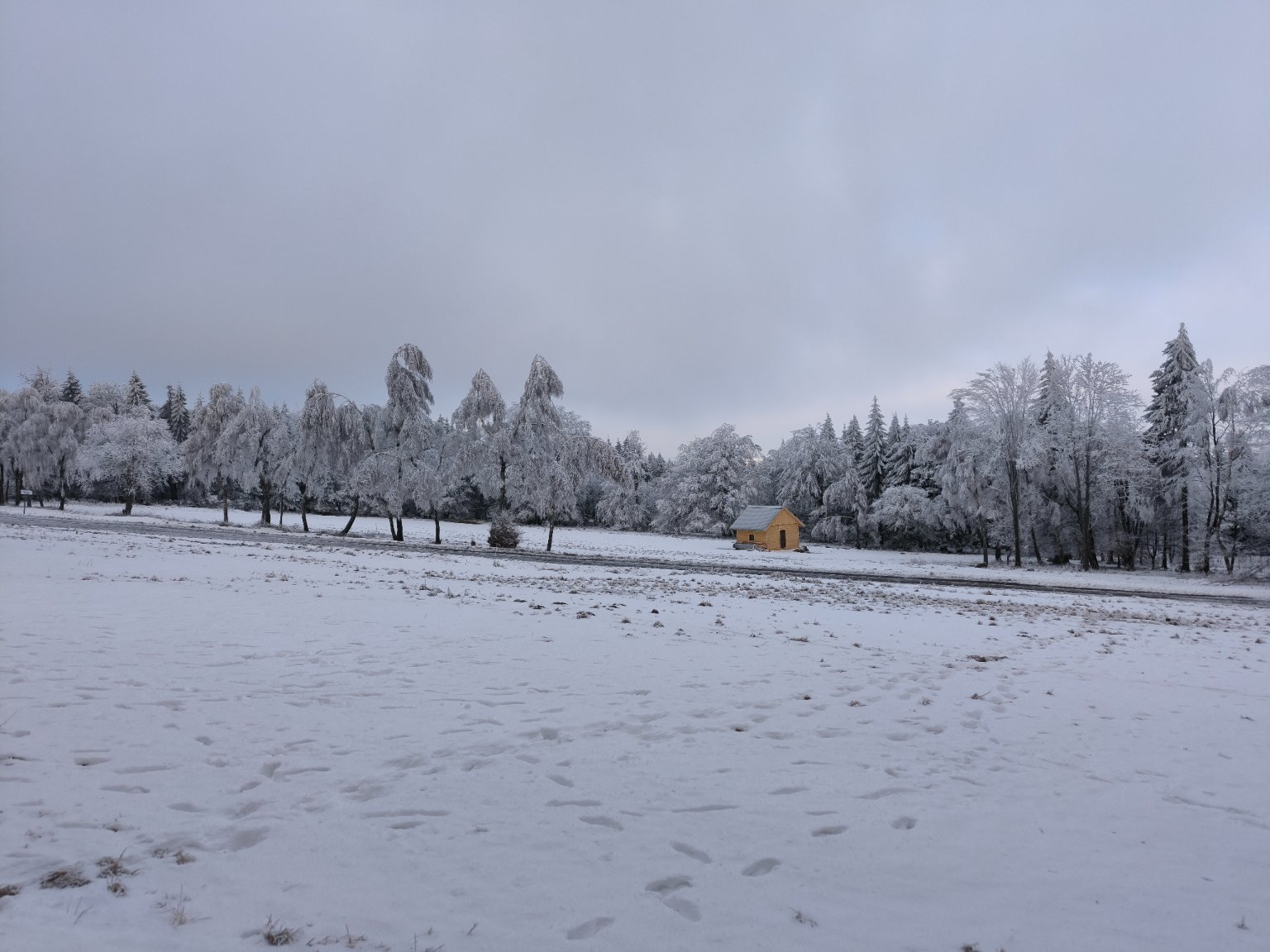 Nová Ves v Horách