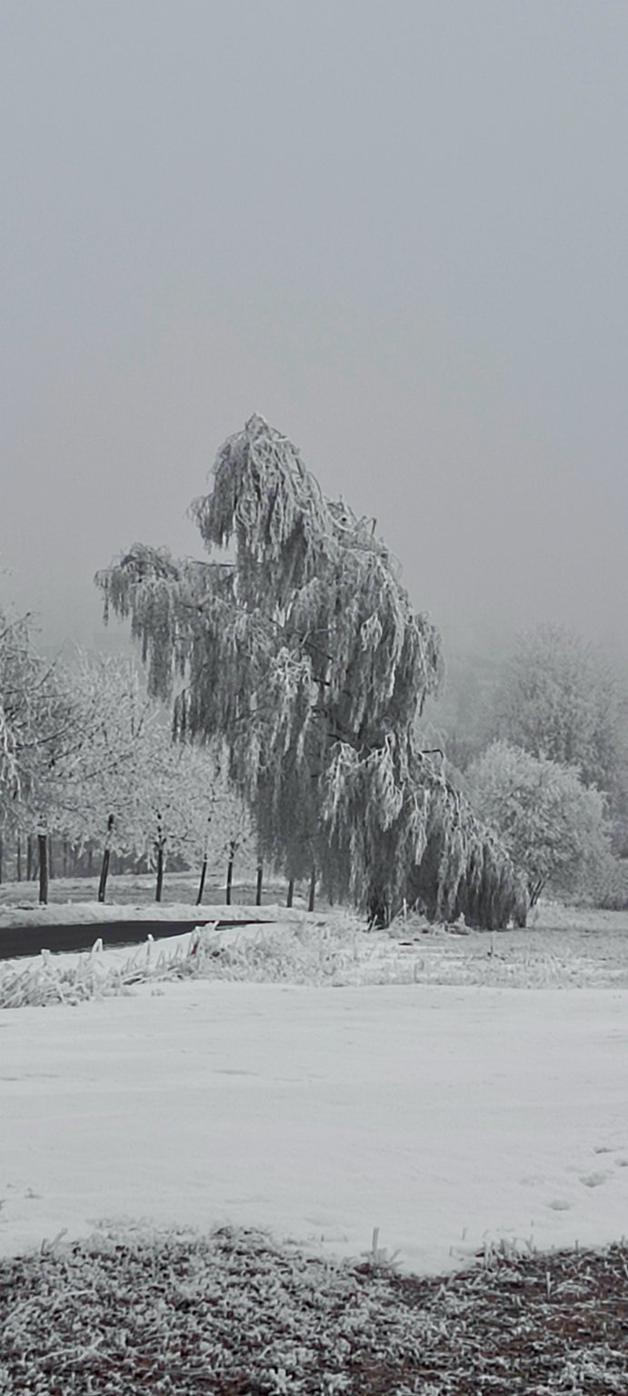 Toužim