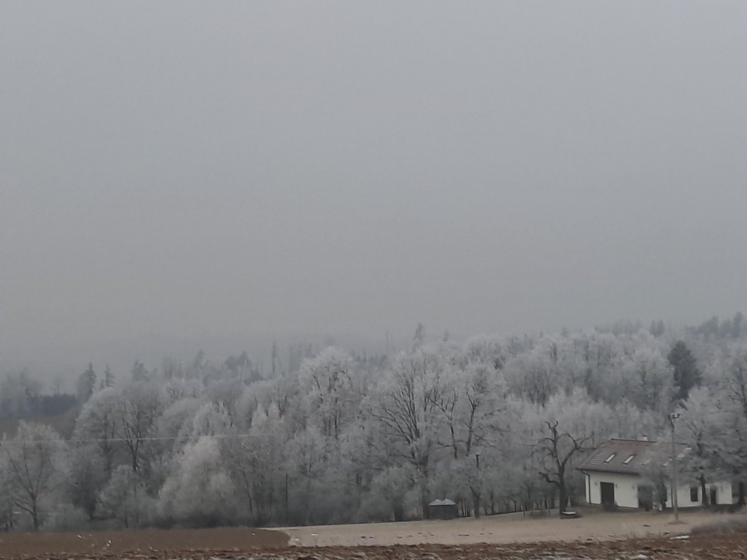 Chvojnov