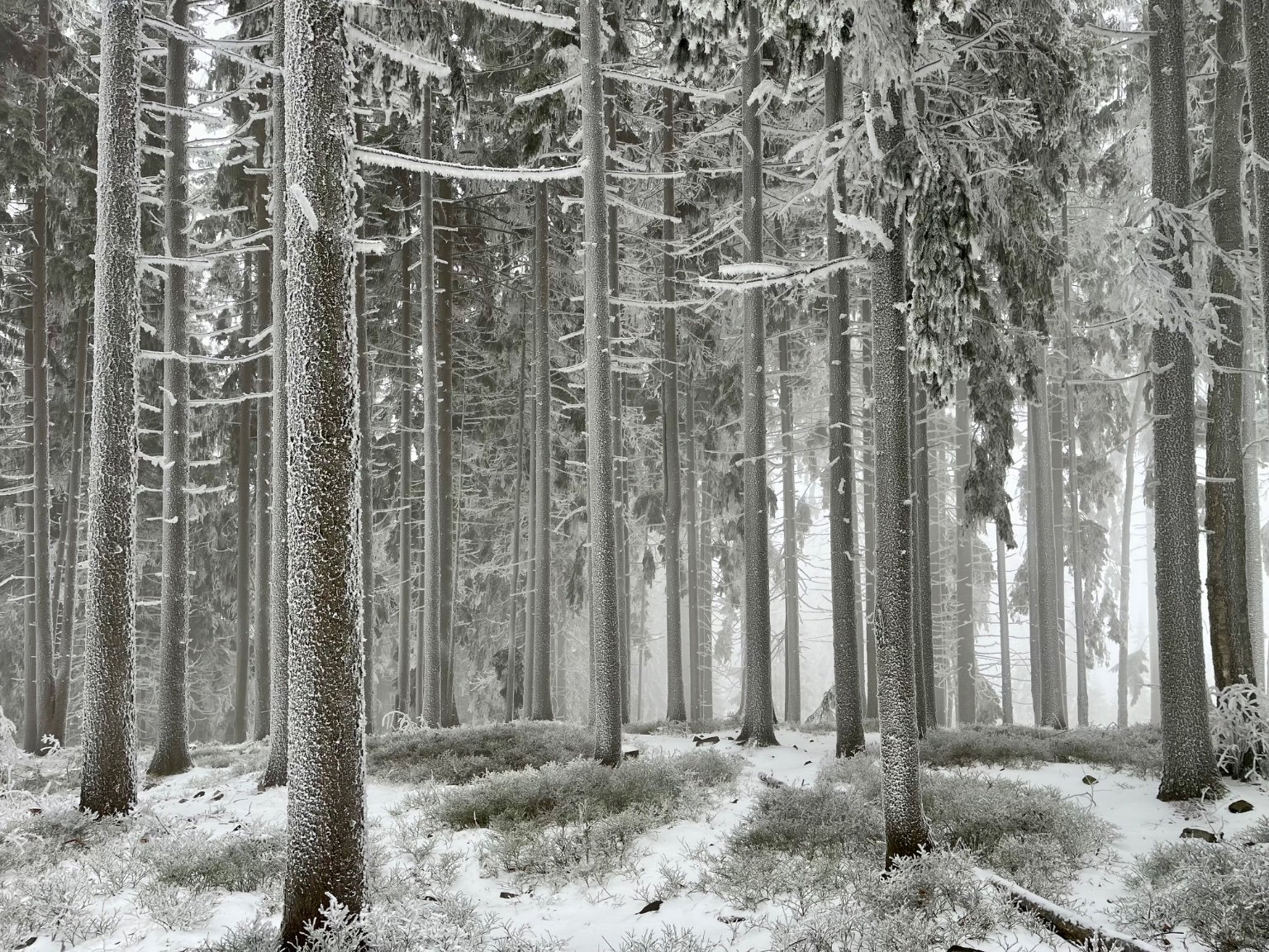 Třemošná