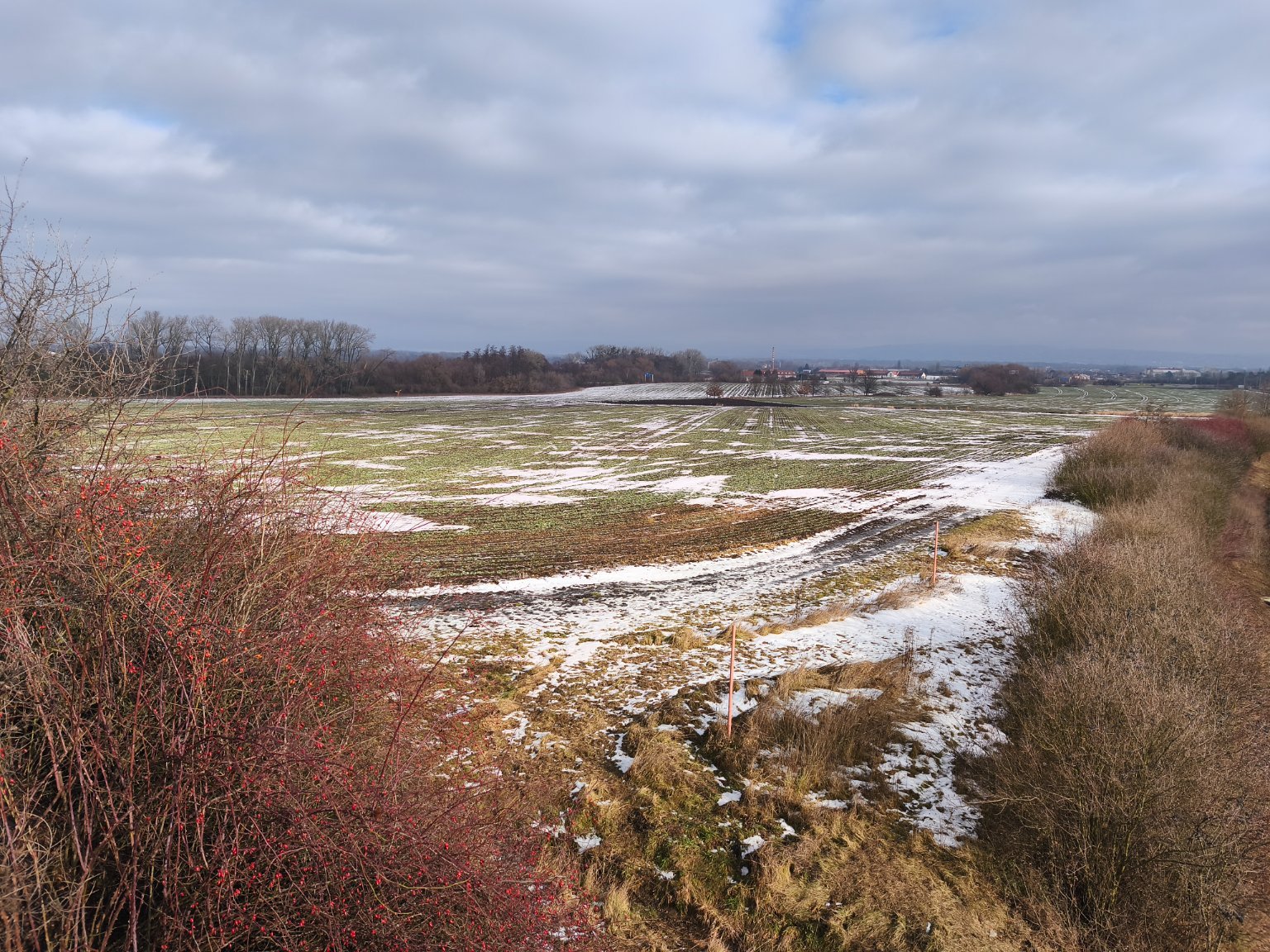 Olomouc, Šibeník