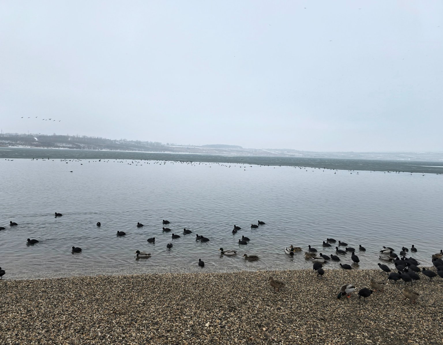 Most jezero 