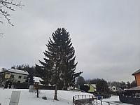 Olešná