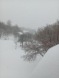 Hvozdnica