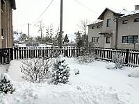 Březová