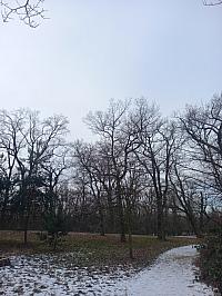 Svatý Mikuláš