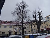 Frenštát pod Radhoštěm