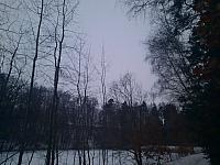 Olešná