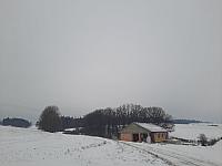 Olešná