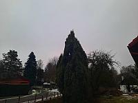 Olešná