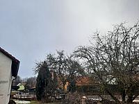Olešná