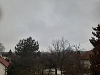 Olešná