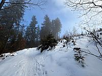 Fotografie