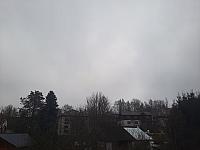Olešná