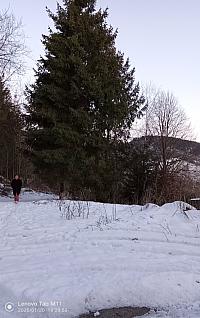 Čadca