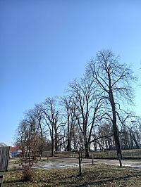 Svatý Mikuláš