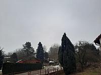 Olešná