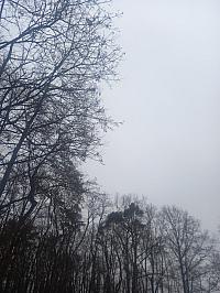 Svatý Mikuláš
