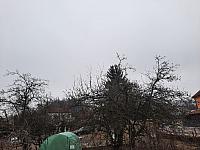 Olešná