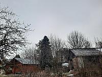 Olešná