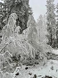 Třemošná