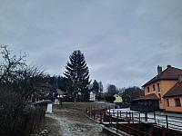 Olešná