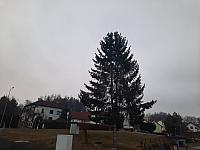 Olešná