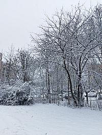 Praha