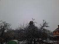 Olešná