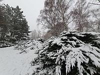 Chomutov
