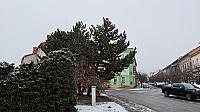 Jičín