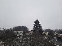 Olešná