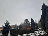 Olešná