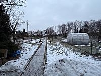 Český Těšín