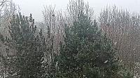 Olomouc-Lazce