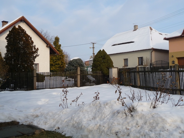 Třibřichy