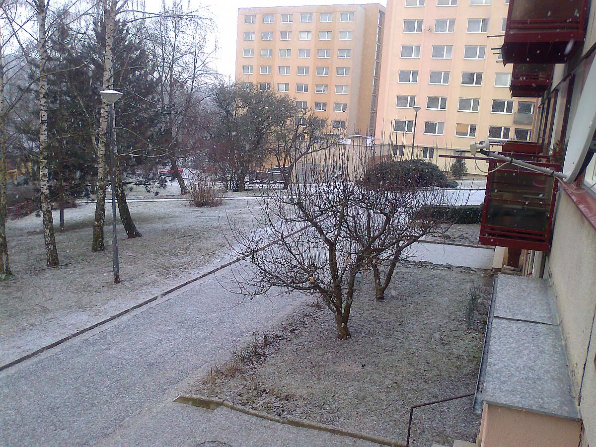 Borovina