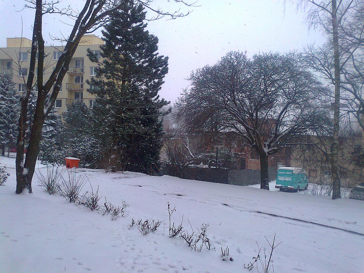 Borovina