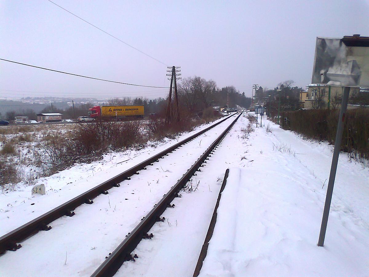 Borovina